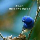 행복한 화요일 이미지