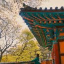 덕산다방 이미지