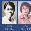 사이박천 이미지