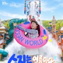 비쥬얼오션
