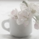 데꼴로레스주 이미지