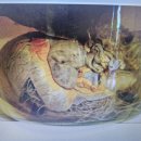 한국베링거인겔하임동물약품(주) | 심장 사상충 (心贜絲狀蟲, 학명:Dirofilariaimmitis)