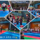 충효태권도호반