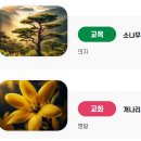 영광전자고등학교 이미지