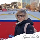 경의선숲길 레드 로드,책거리, 땡땡거리.. 동교동 김대중가옥, 도서관 이미지