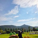 여수랑남도랑여행협동조합 이미지