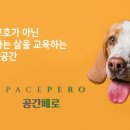 공간 페로 이미지