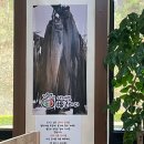 사계절 복코다리 | [충남 예산] 코다리 맛집/사계절복코다리/사계절福코다리