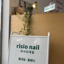 리시오네일 이미지