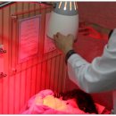 경희다나을한의원 이미지