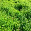 튼튼백세한의원 이미지