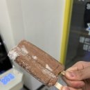 낮샴화 이미지