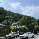 동해시-65 | [동해시 볼거리] 천곡황금박쥐동굴 &#34;동해 시티투어버스 볼거리/동해 천곡동굴 후기&#34;