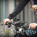 또또행복