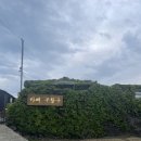 천년비자 | 친구들이랑 3박4일 여행 (2) - 월정리 카페 구할구 제주 + 평대 해변 당근과 해녀 와인바 + 천년비자 펜션