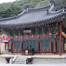 도리사로 이미지