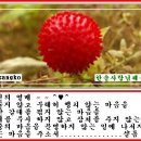한솔사 이미지