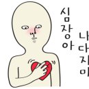 펫피플 스타필드명지점 이미지