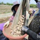 상모리-26 이미지