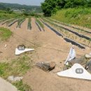 김동호 농장 이미지