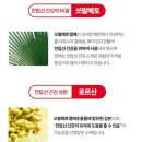 (코오롱제약)옥타엔쏘팔 "파워맥스" -55,000원 미사랑회원가:30,000(택배비포함)/미사랑회원 이미지