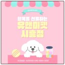 하얀파크 | 송도말티즈분양 후기 센트럴파크에서 만난 하얀 천사 ‘보리’ 이야기