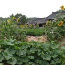 운암농장 이미지