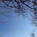 공동어시장 입구 이미지