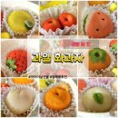 두인선물공방 | [내돈내산] 공방참진 과일 화과자 맛 후기 선물 추천