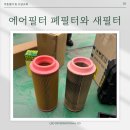 레오인터내셔널 이미지