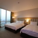 소노캄 고양 이미지