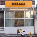 사파동123 이미지