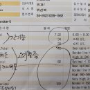 일이사 이미지