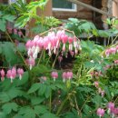 마령중학교 이미지