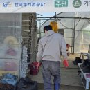 전성훈, 직장(딸기탐탐) 25-45, 성훈 씨 드린다고 따로 이미지