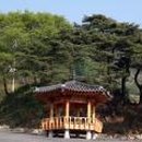 정자 이미지