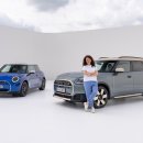 패밀리카 이미지