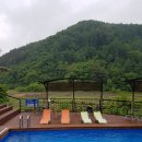 포천리컴펜글 이미지