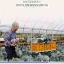 적양배추 먹는 법 위염 속 쓰림에 좋은 빨간 양배추즙