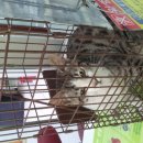 성산2동 주민센터 이미지