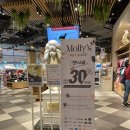 강이네펫샵 이미지