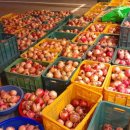 한국1농장 | 한국기행 가을1번지 고흥 석류 농장 카페 택배 주문 정보