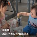 보들 | 아이가 잘 먹는 단백질 간식 베베쿡 보들피쉬퐁 후기