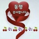 인복 있는 장미김 이미지