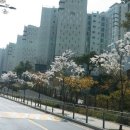 엠타운공인중개사사무소 이미지