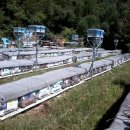 선진 양봉장 이미지