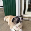 지열목장 이미지