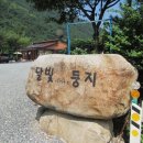 달빛이머무는둥지 이미지