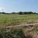 성읍리-24 이미지