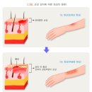 천보성 이미지